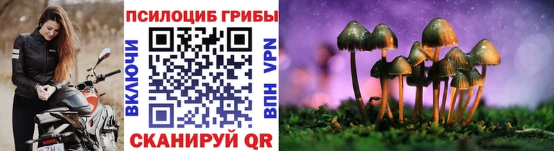 Галлюциногенные грибы Cubensis Купить Котельнич
